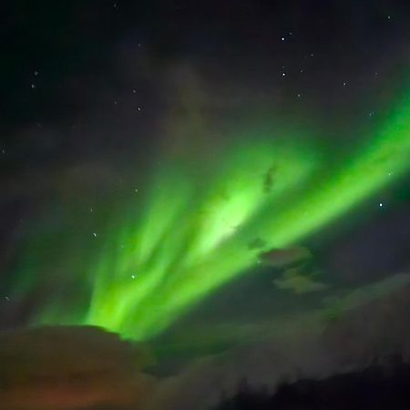 Lund - Exellent Apartment Tromsø Dış mekan fotoğraf